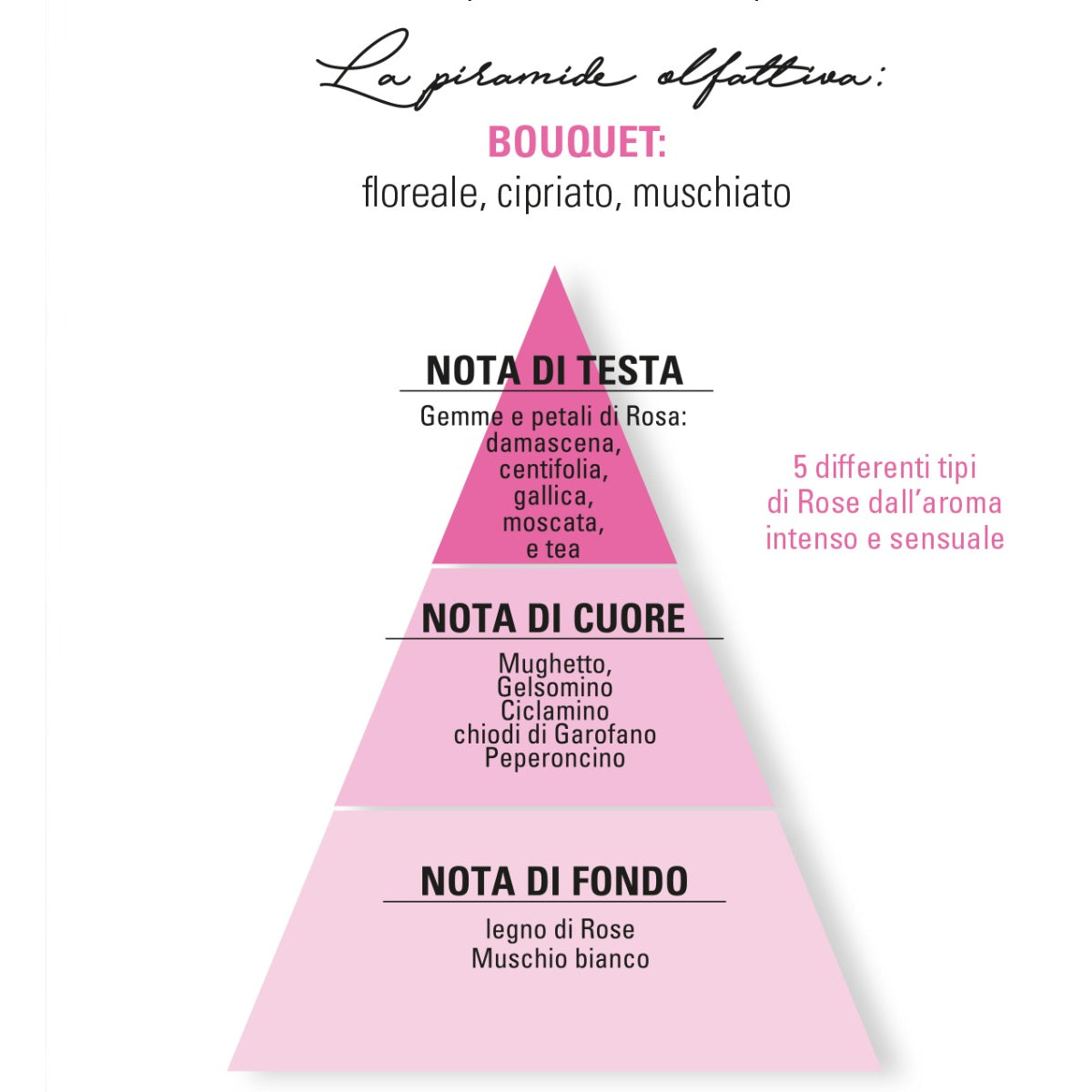 Eau de Parfum - Iconica - 50mL